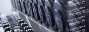 Musculation et exercices d’entraînements pour une belle prise de masse pendant un cycle de Dianabol